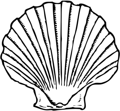 Image Royalty Free Download Page Of Bclipart Free Images - Seashell Clipart Black And White - Png Download (700x525), Png Download