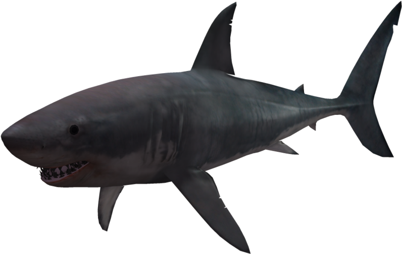 Great White Shark Clipart Pink - 3d Shark Png Transparent Png (1024x639), Png Download