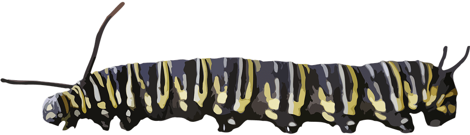 Caterpillar Clipart Transparent - Clip Art - Png Download (960x480), Png Download