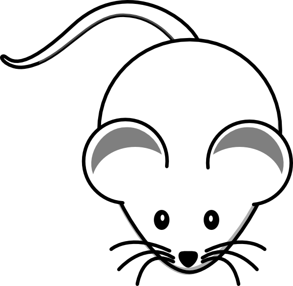 White Mouse Graphic Clip Art At Clker Com - Cartoon Mouse Shower Curtain - Png Download (600x586), Png Download