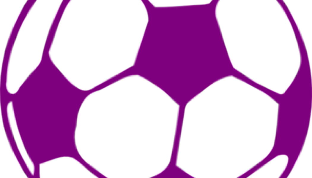 Awareness Archives Epilepsyu Rutgers Womens Plays For - Soccer Ball Silhouette Clipart - Png Download (1050x600), Png Download