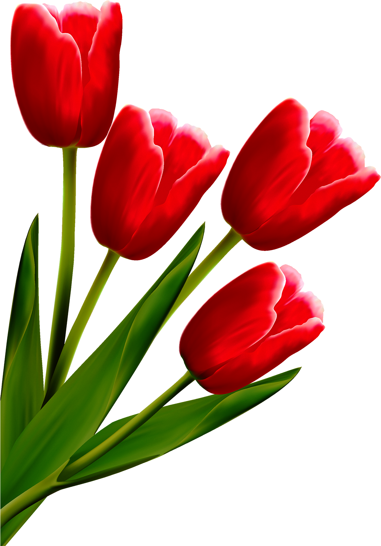 Clip Art Black And White Stock Flower Line Art Transprent - Png Download (1300x1829), Png Download