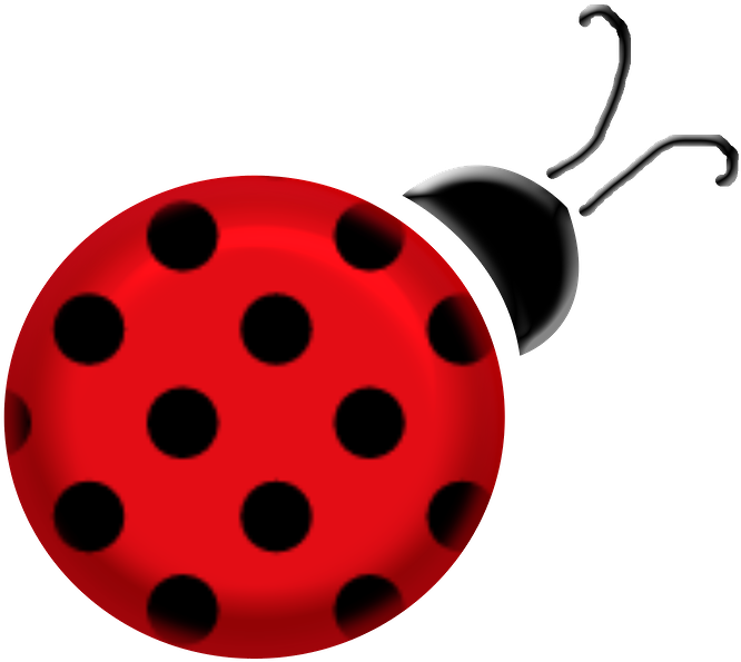 Joaninha - Minus - Ladybird Beetle Clipart (900x900), Png Download