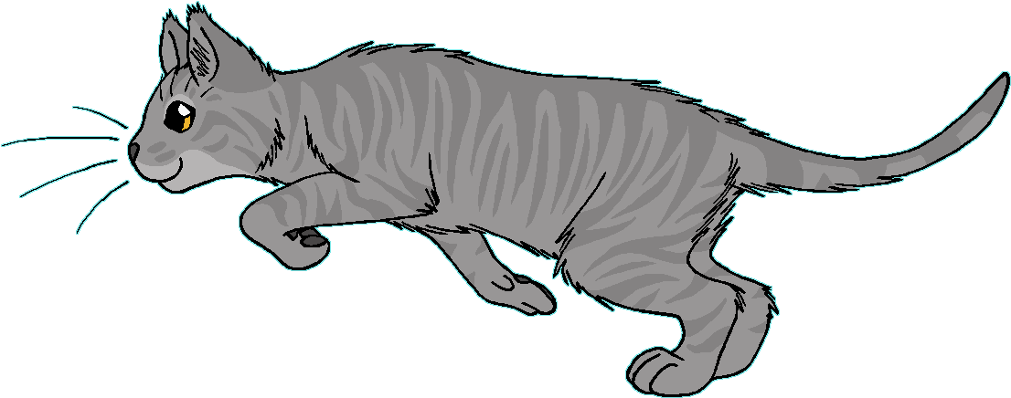 Tawnyspots - Moonflower Warriors Clipart (1175x466), Png Download