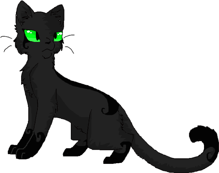 Hollyleaf By Blackkitty5 On Clipart Library - Clip Art - Png Download (800x600), Png Download