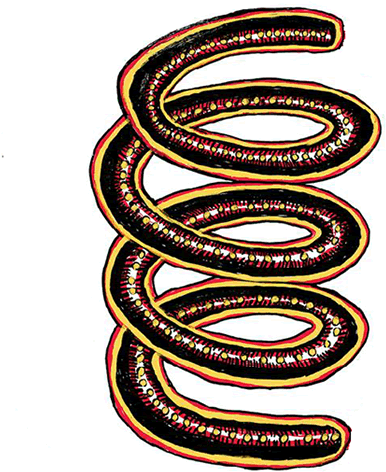 Gira Special Projects - Oval Clipart (600x600), Png Download