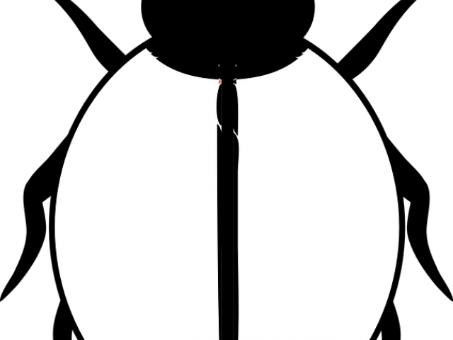 Realistic Clipart Ladybug - Black And White Ladybird - Png Download (640x480), Png Download
