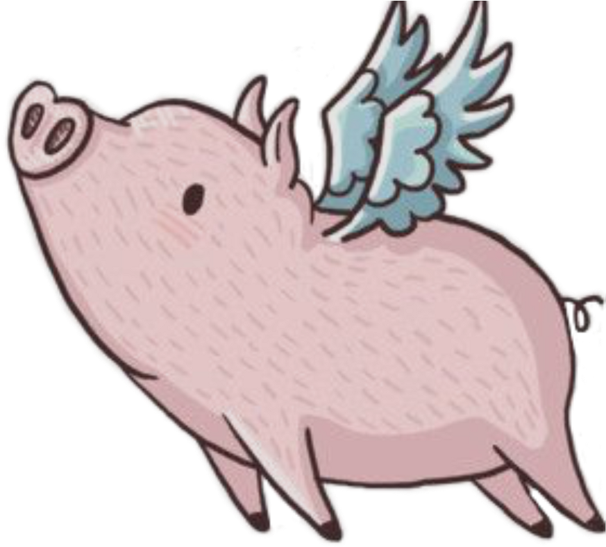 Pig With Wings Clipart (1024x1024), Png Download