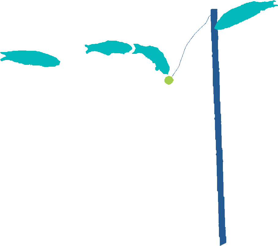 Seagrass Cover And Composition - Icon Clipart (1156x1156), Png Download