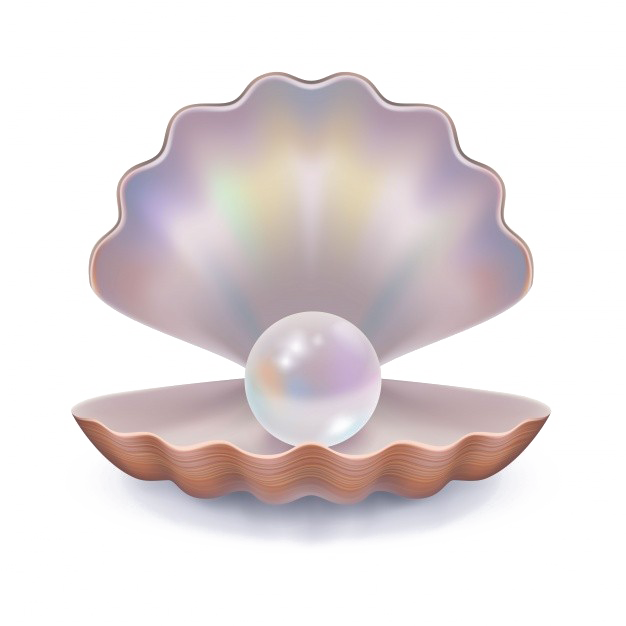 Png Transparent Images Pictures - Png Hd Pearl Clipart (626x626), Png Download