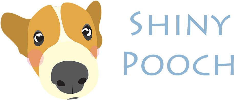 Shiny Pooch Shiny Pooch - Dog Clipart (1000x390), Png Download