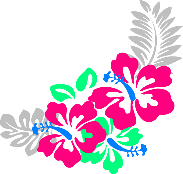 Hibiscus Clip Art - Png Download (600x570), Png Download