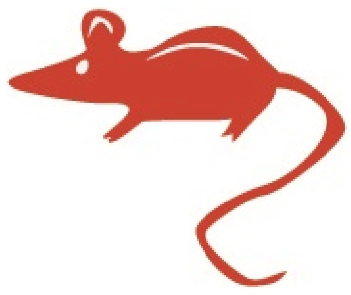 4png - Maus Clipart (817x654), Png Download