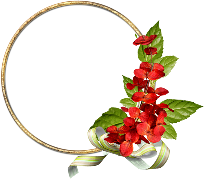 Cadre Vide - Viñetas Png De Rosas Clipart (800x800), Png Download