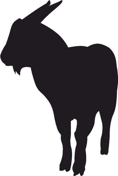 Free Download Silhouette Clipart Deer Mammal Donkey - Zoo Animals - Png Download (800x800), Png Download