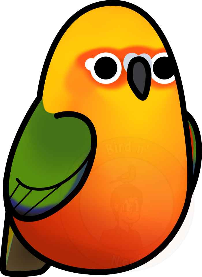 Picture Freeuse Library Too Many Birds Jenday - Conure Clipart (700x962), Png Download