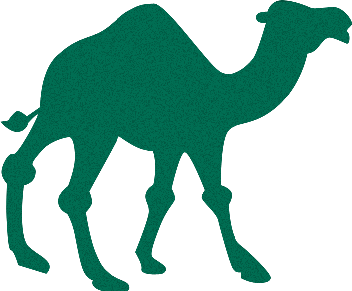 Bands And Artists With Animal Names - Camel Silhouette Clipart (800x600), Png Download