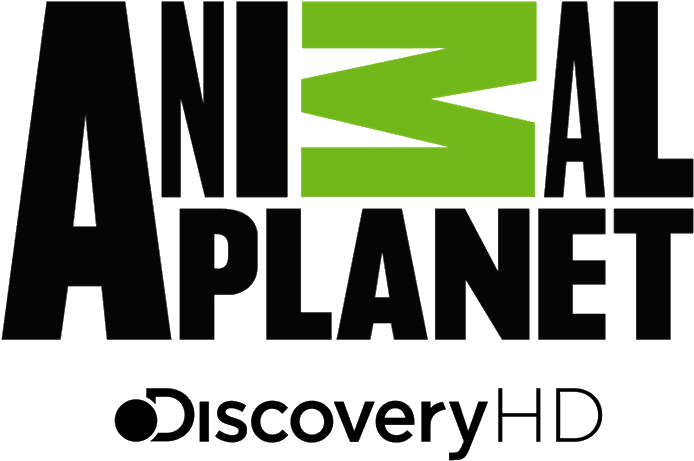 Animal Planet Hd Latinoamerica Logos De Aire Cable - Animal Planet Logo 2018 Clipart (705x470), Png Download