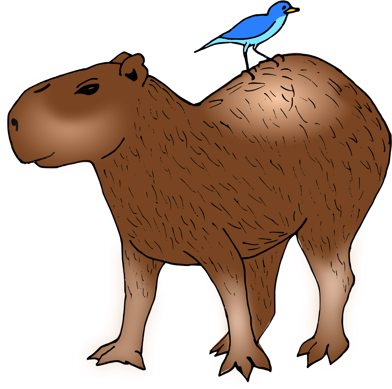 Big Image - Capybara Clipart - Png Download (1855x2400), Png Download