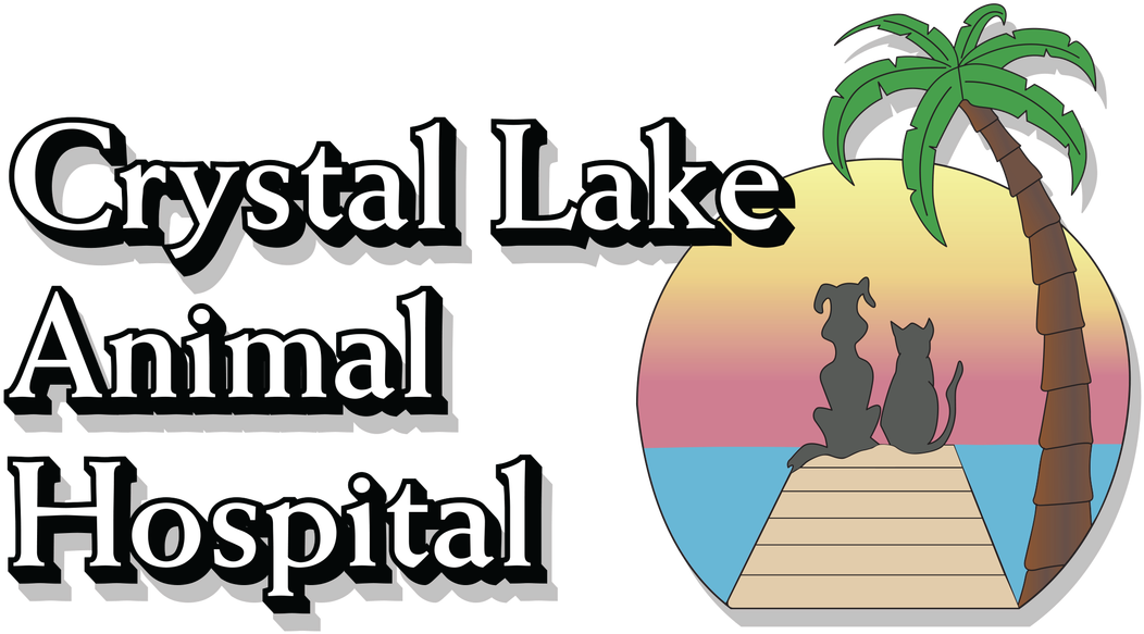 Crystal Lake Hospital Home Picture - Cartoon Clipart (1100x598), Png Download