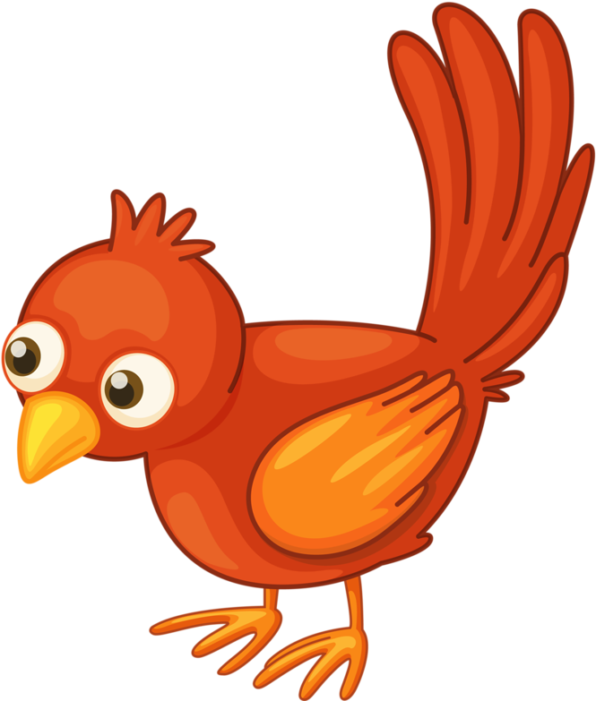 Cartoon Birdsbird Clipartcartoon - Bird Clipart White Background - Png Download (736x800), Png Download