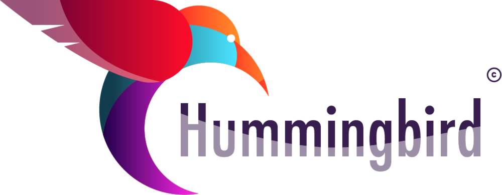Humming Bird Logo Clipart (1000x389), Png Download