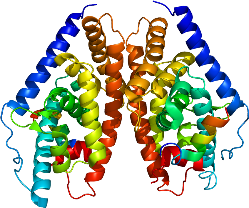 Liver X Receptor Beta Clipart (896x756), Png Download