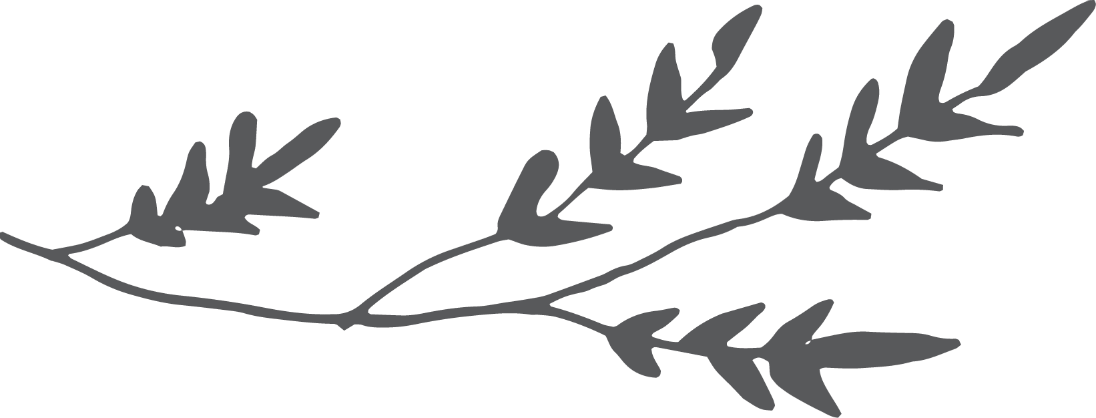 Welcome To Piccola Jewelry - Silhouette Clipart (1096x418), Png Download