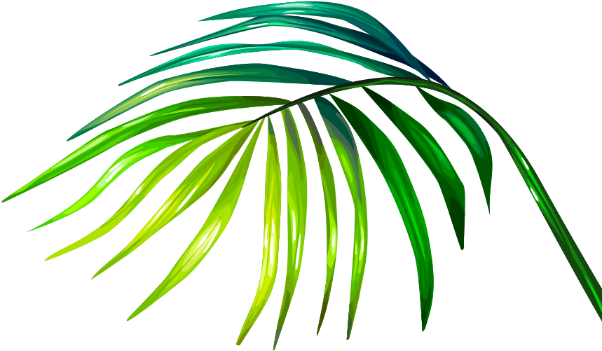 The Little Flower Shop Clipart (908x566), Png Download