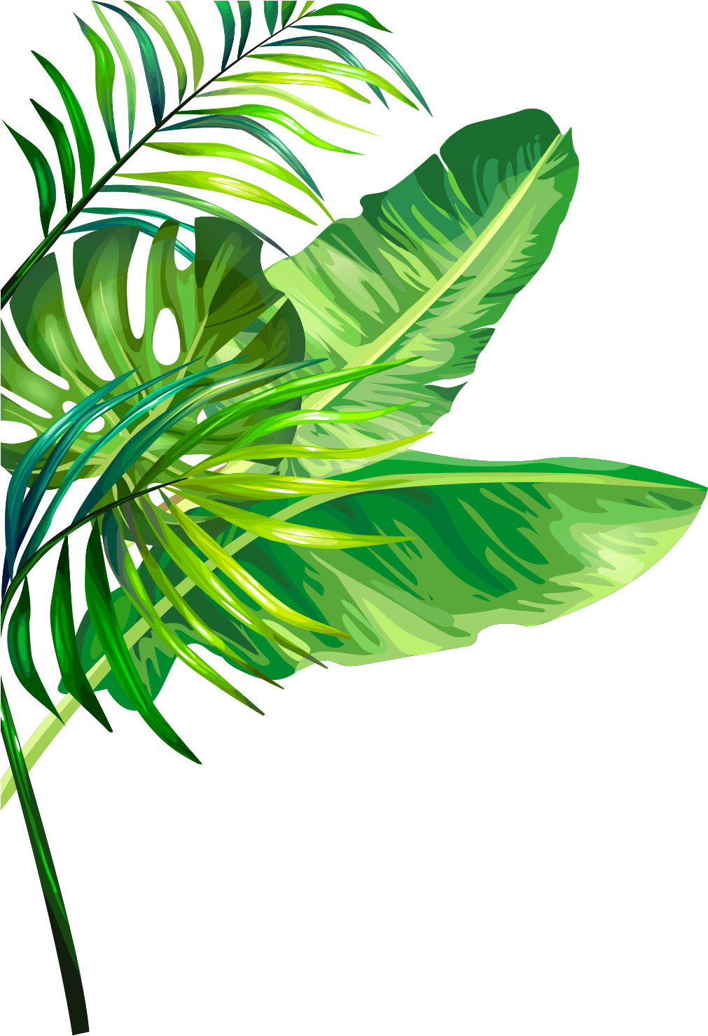 The Little Flower Shop Clipart (1074x1520), Png Download