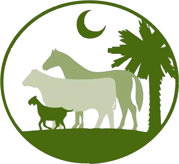 South Carolina Clipart (624x571), Png Download