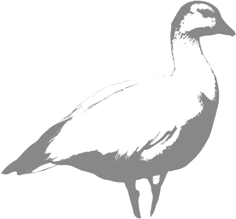 Ross - Portable Network Graphics Clipart (1000x1000), Png Download