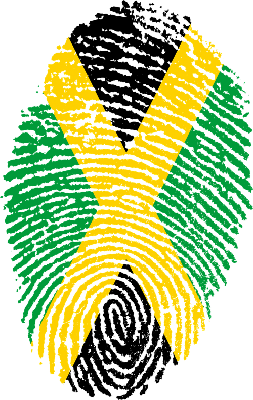 Jamaica Fingerprint Clipart (500x791), Png Download