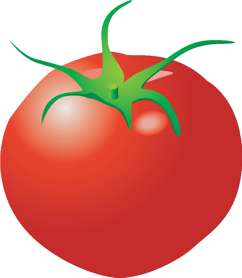 Clipart Vegetables Tomato - Verdura Png Dibujos Transparent Png (1024x1045), Png Download