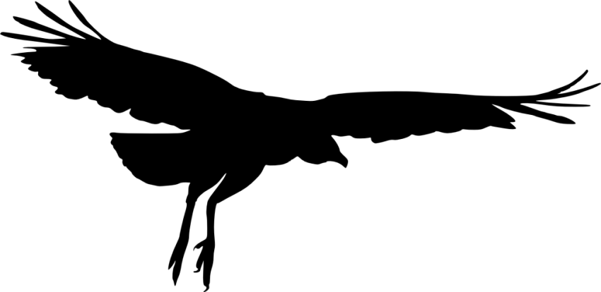 Bird Silhouette Png - Transparent Clipart Bird Silhouette (850x414), Png Download