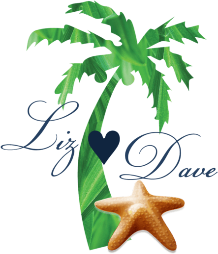 Wedding - Caribbean Palm Tree Png Clipart (600x535), Png Download