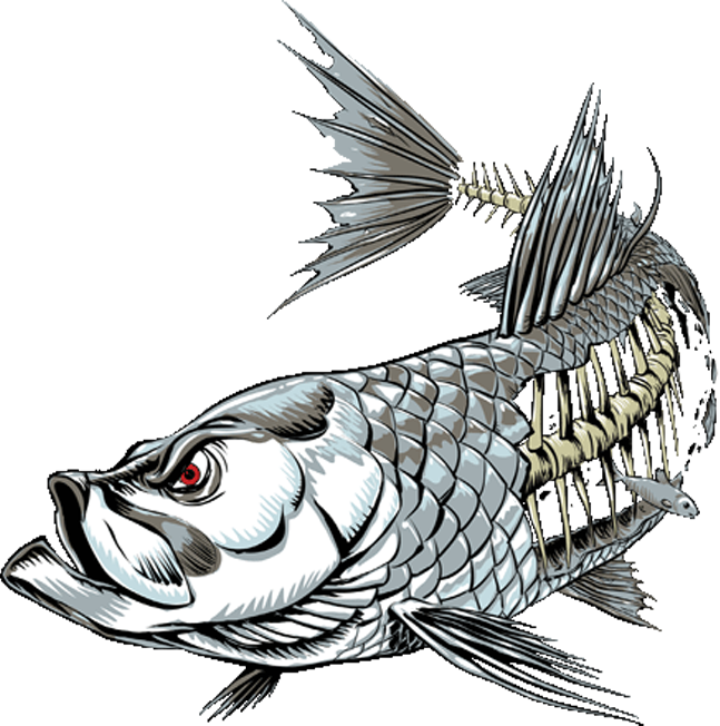 Tarpon - Tarpon Skeleton Clipart (647x652), Png Download