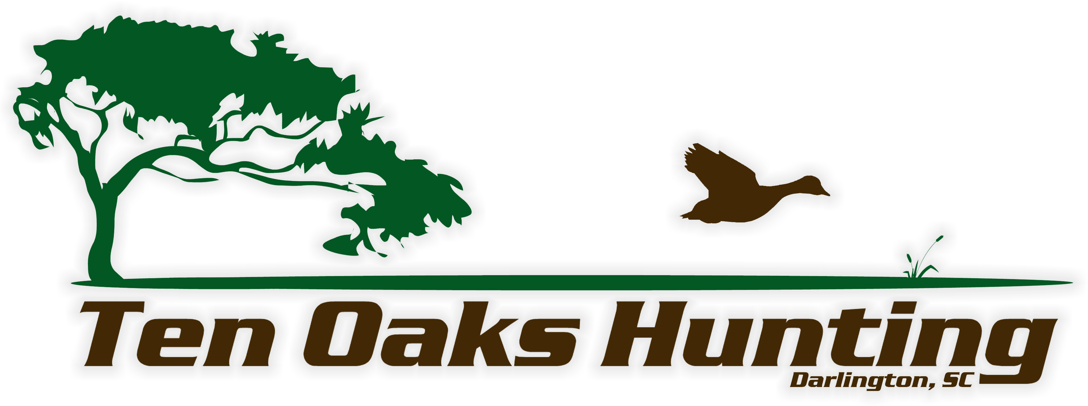 Quality Dove, Duck, And Quail Hunting In South Carolina - California Clipart (3600x1411), Png Download