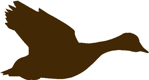 Quality Dove, Duck, And Quail Hunting In South Carolina Clipart (576x576), Png Download