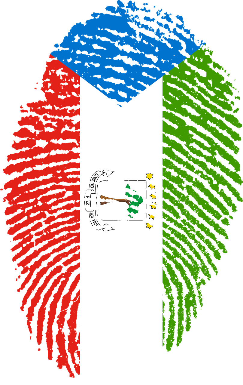 Travel, Equatorial Guinea Flag Fingerprint Country - Digital Bandeira Do Brasil Clipart (809x1280), Png Download