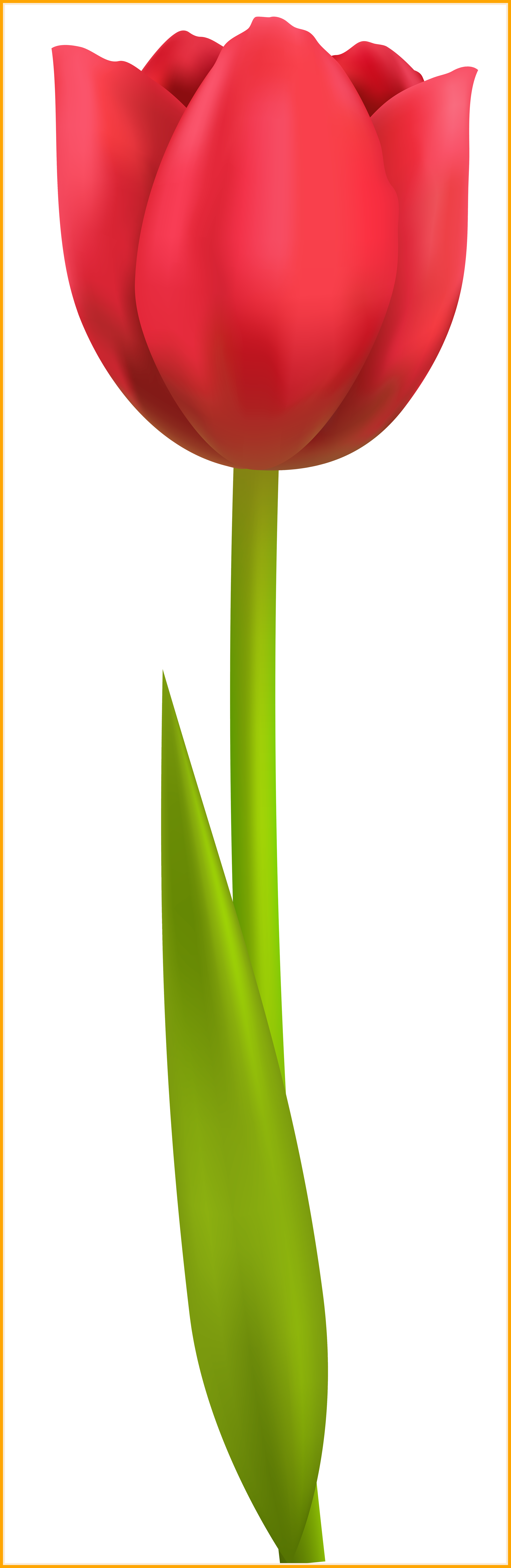 The Best Purple Crocus Flower Png Clipart Image Gallery - Clip Art Transparent Png (2626x8050), Png Download