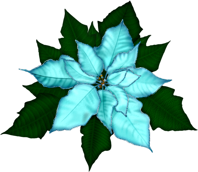 Fantasy Moments ~ Winter Impressions - Christmas Poinsettia Transparent Background Clipart (680x600), Png Download