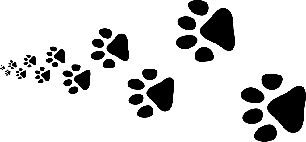 Request A Certificate Clipart (991x461), Png Download