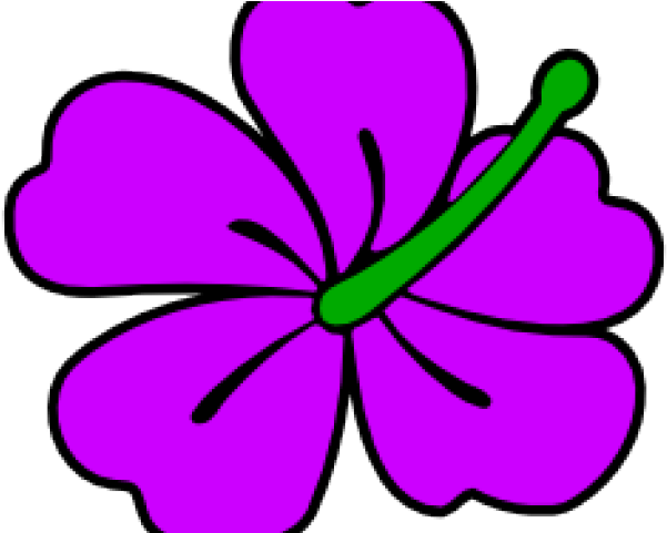 Hibiscus Flower Clipart - Clip Art - Png Download (640x480), Png Download
