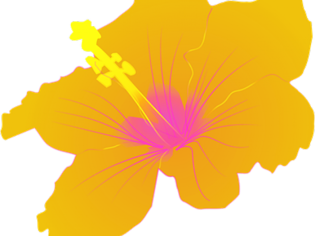 Polynesia Clipart Purple Hawaiian Flower - Hibiscus Clip Art - Png Download (640x480), Png Download