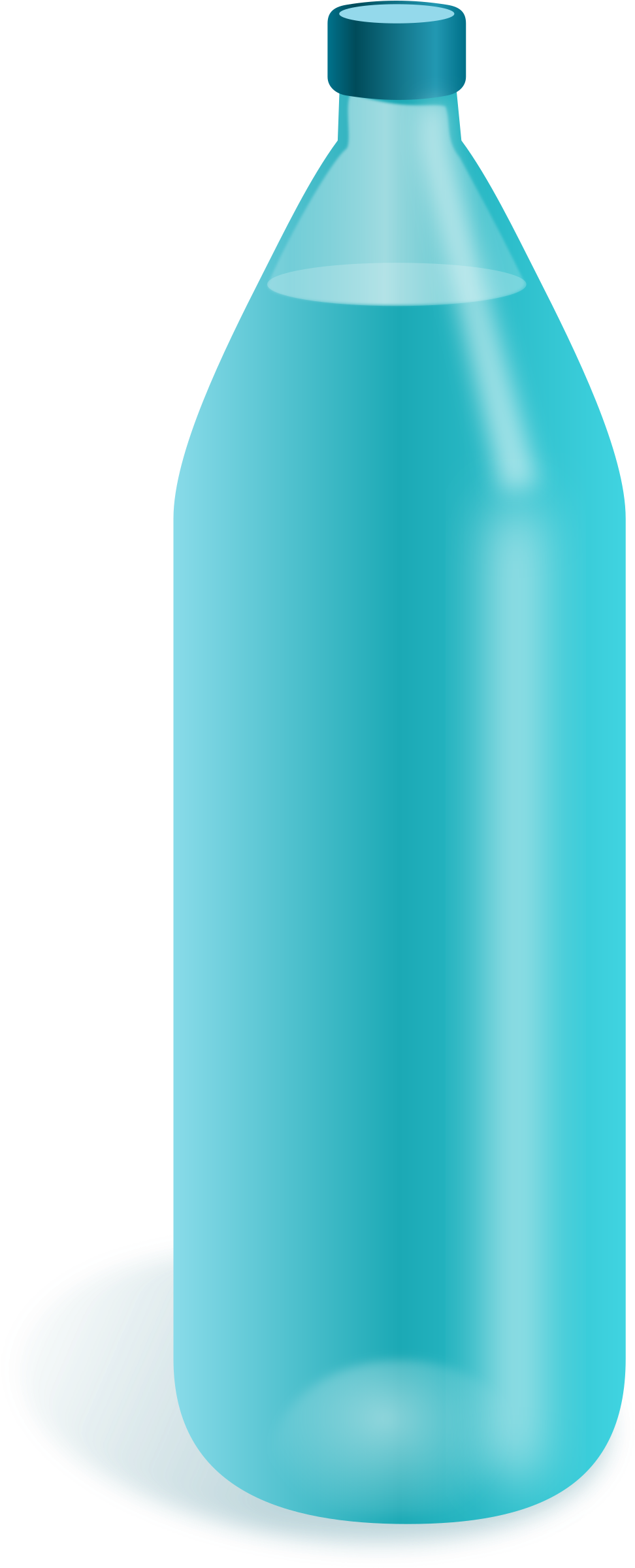 Water Bottle Transparent Png Pictures - Water Bottle Clipart Png (972x2400), Png Download