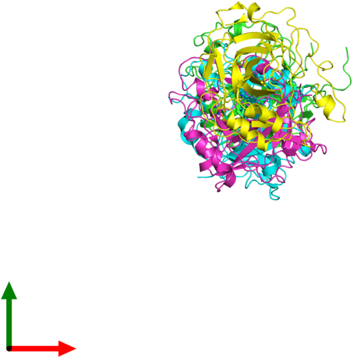 Circle Clipart (800x800), Png Download