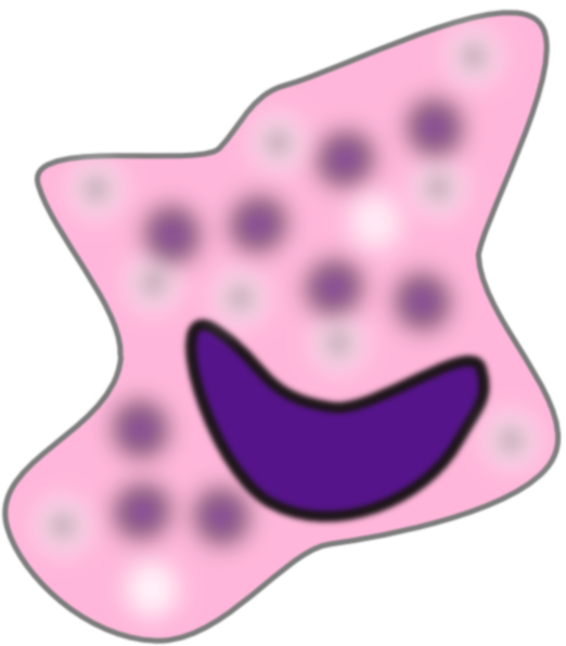 Macrophage Clip Art - Png Download (522x596), Png Download