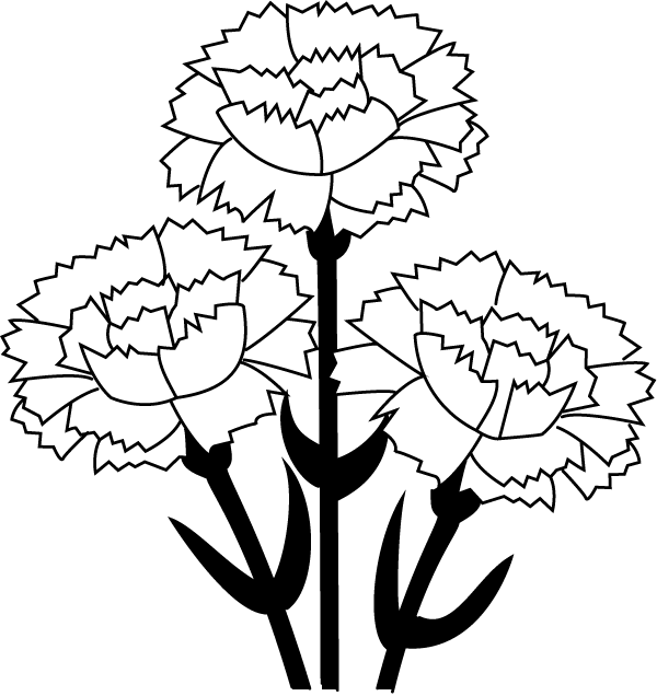 Carnation Clipart Black And White > > 51,25kb - Carnation Food Coloring Experiment Worksheet - Png Download (600x636), Png Download