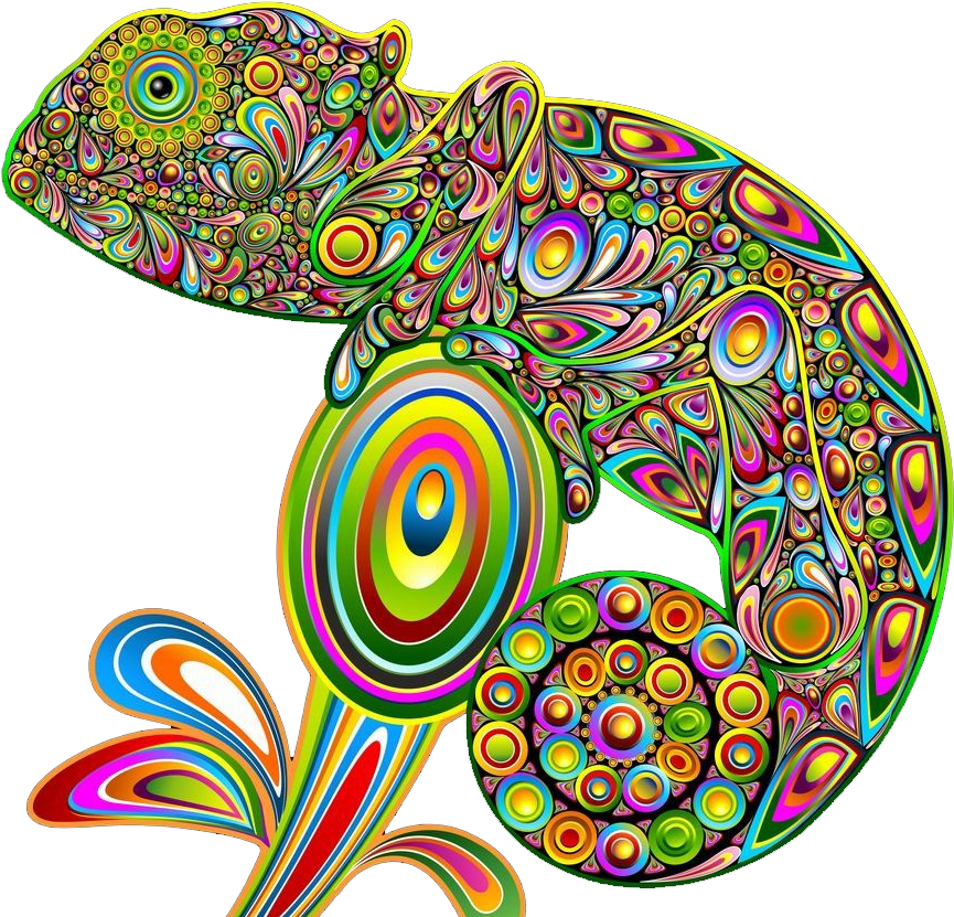 Chameleons Lizard Psychedelic Art Psychedelia Hand - Psychedelic Iguana Sticker (rectangle) Clipart (888x855), Png Download